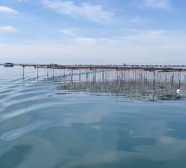 Screenshot 2025-12-12 161623